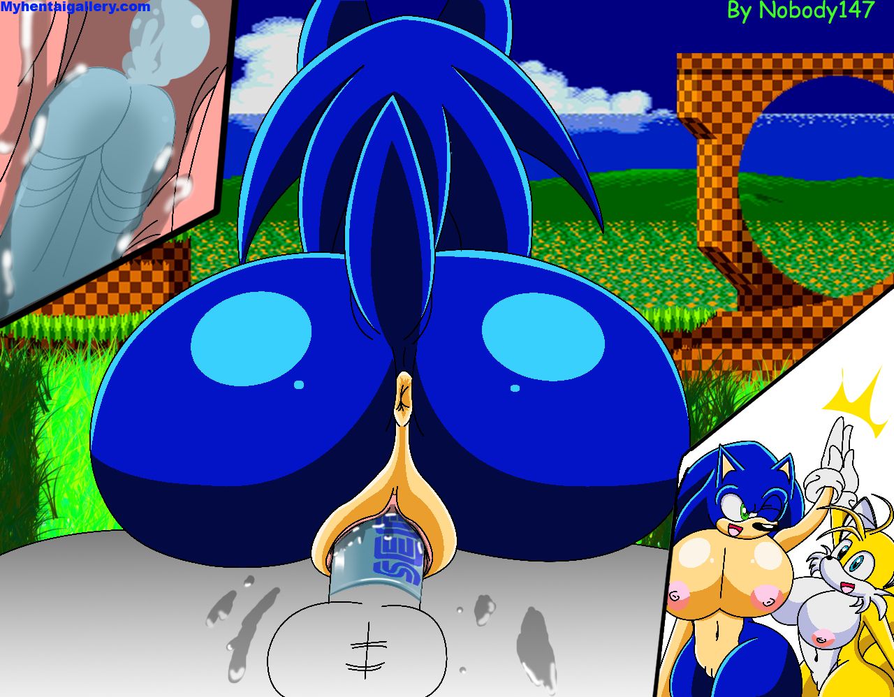 Sonic Cartoon Pornô - Foto 11