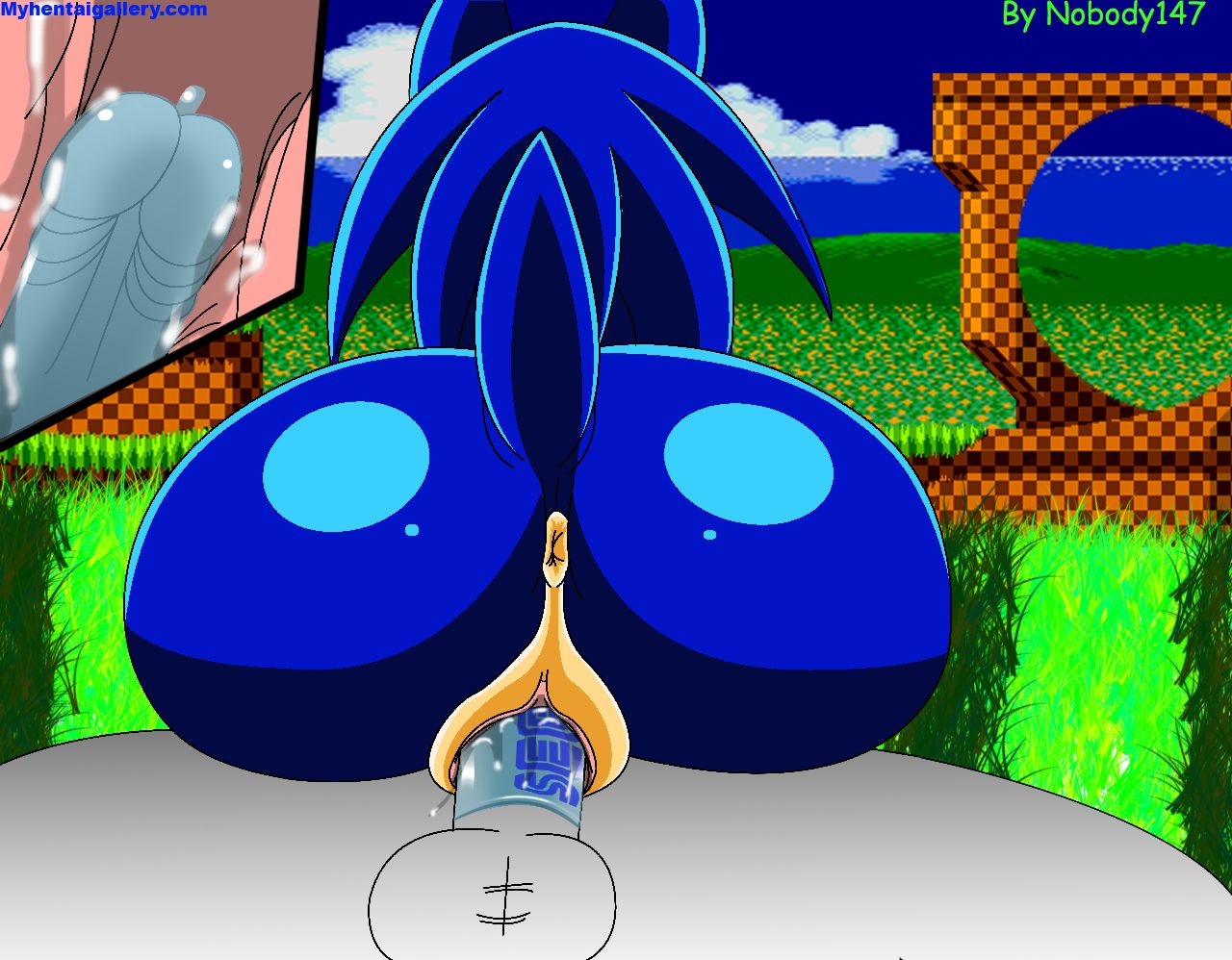 Sonic Cartoon Pornô