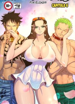 One Piece Hentai VL.6